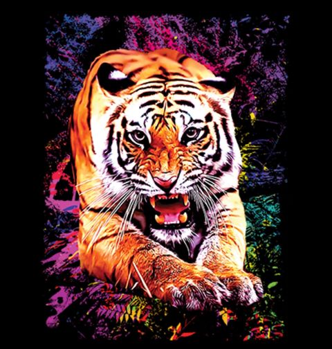 Obrázek produktu Pánské tričko Tygr s Aurou Barev