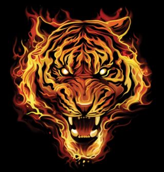 Obrázek 2 produktu Dámské tričko Bengálský Tygr v Plamenech
