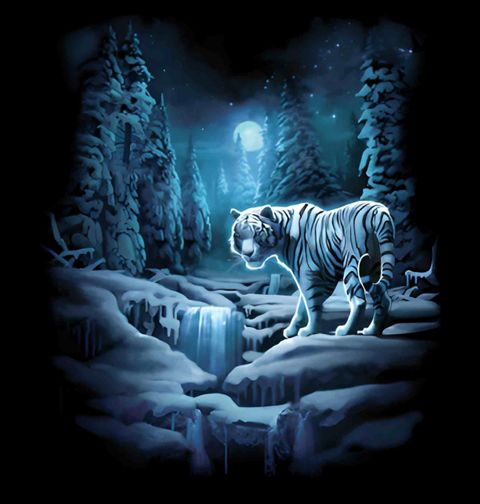 Obrázek produktu Pánské tričko Sněžný Tygr v Úplňku