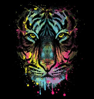 Obrázek 2 produktu Dámské tričko Barevný Tygr