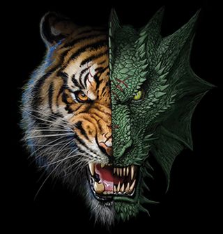 Obrázek 2 produktu Pánské tričko Tygr A Drak