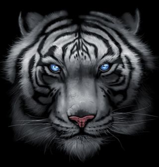 Obrázek 2 produktu Dámské tričko Bájný Tygr Bílý