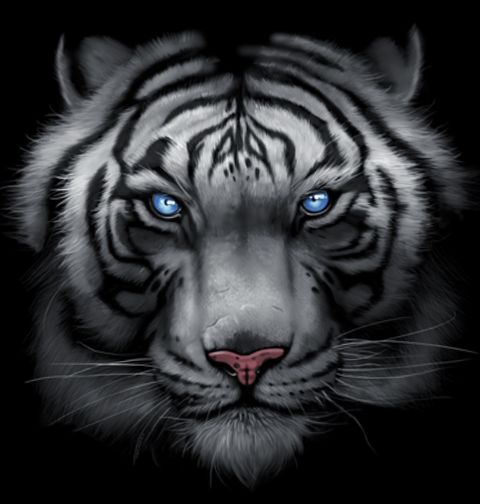 Obrázek produktu Pánské tričko Bájný Tygr Bílý