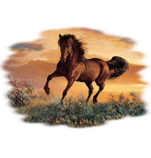 Obrázek produktu Dámské tričko Kůň Hnědák Anglický Plnokrevník