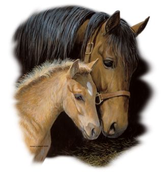 Obrázek 2 produktu Dámské tričko Koňská Láska Kůň a Hříbě