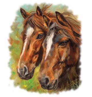 Obrázek 2 produktu Dámské tričko Koňská Láska Zamilovaní Koně
