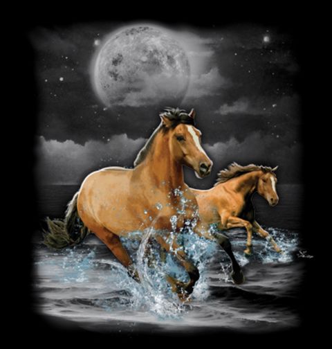 Obrázek produktu Dámské tričko Divocí Koně za Úplňku