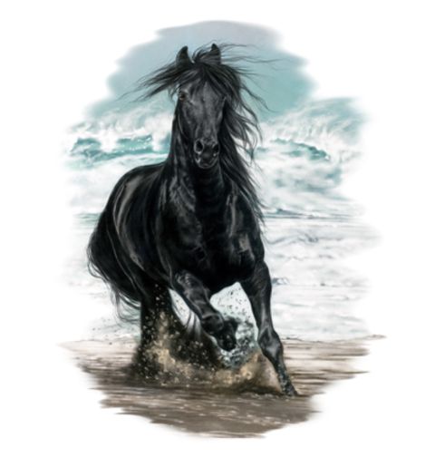 Obrázek produktu Pánské tričko Černý Hřebec na Pláži