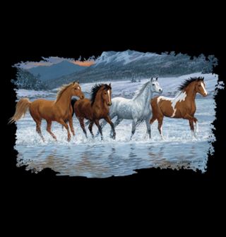 Obrázek 2 produktu Pánské tričko Stádo Koní Běžící Koně