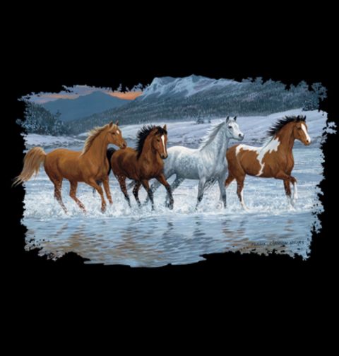 Obrázek produktu Pánské tričko Stádo Koní Běžící Koně