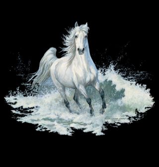 Obrázek 2 produktu Pánské tričko Bílý Kůň Běh ve Vodě