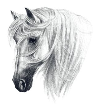 Obrázek 2 produktu Dámské tričko Andaluský Kůň