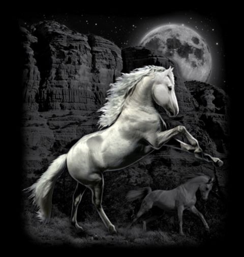 Obrázek produktu Pánské tričko Majestátní Bílý Kůň při Úplňku