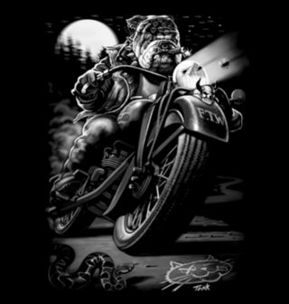 Obrázek 2 produktu Dámské tričko Biker Buldok