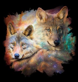 Obrázek 2 produktu Dámské tričko Vesmírní Vlci 