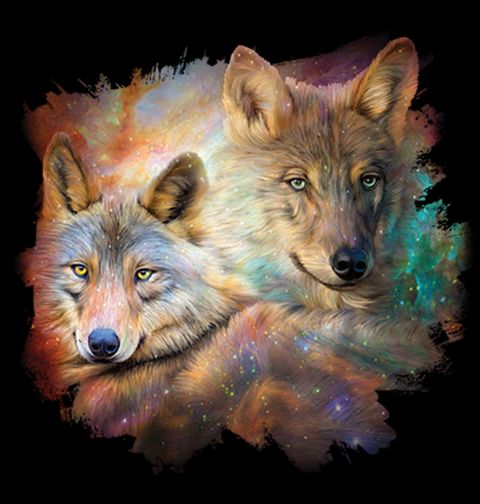 Obrázek produktu Pánské tričko Vesmírní Vlci 