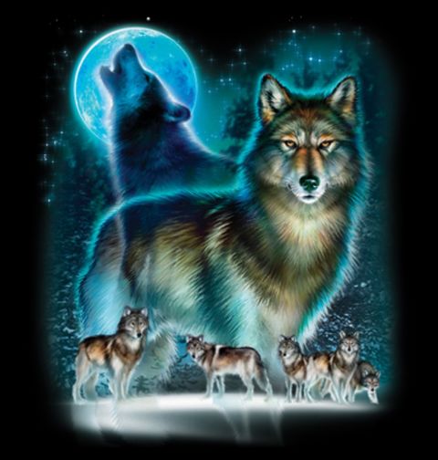 Obrázek produktu Pánské tričko Wolf Moon Silhouette