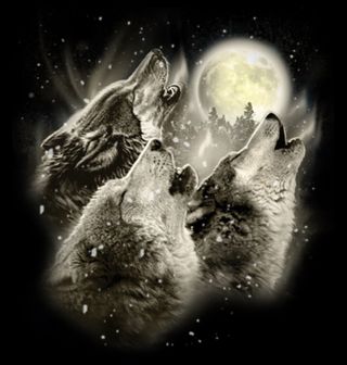 Obrázek 2 produktu Dámské tričko Vytí smečky Vlků
