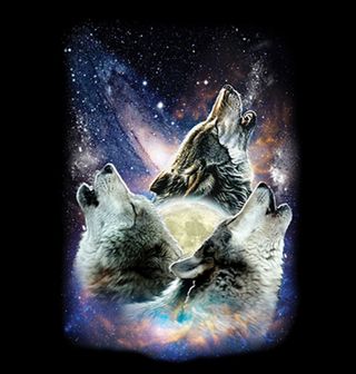Obrázek 2 produktu Pánské tričko Vesmírné Trio Vlků