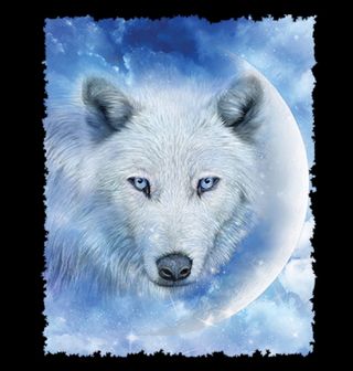 Obrázek 2 produktu Pánské tričko Mesíční Vlk Polární  (Velikost: L)