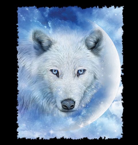 Obrázek produktu Dámské tričko Mesíční Vlk Polární 