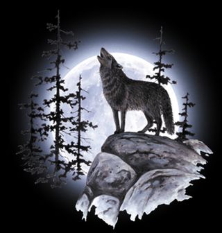 Obrázek 2 produktu Dámské tričko Vlk vyjící na Měsíc
