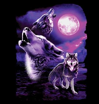Obrázek 2 produktu Dámské tričko Měsíční Vlk Fantazie