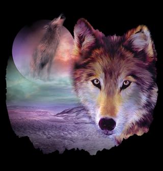 Obrázek 2 produktu Pánské tričko Bájný Vlk
