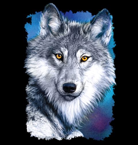 Obrázek produktu Dámské tričko Vlk polární