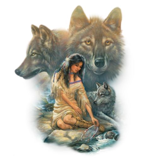 Obrázek produktu Pánské tričko Souznění s Vlky 