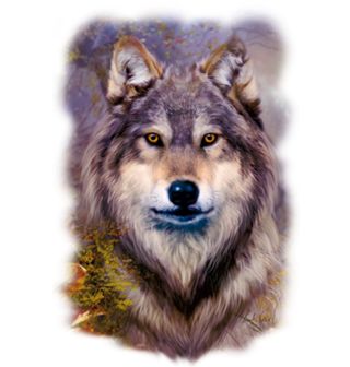 Obrázek 2 produktu Dámské tričko Portrét Vlka