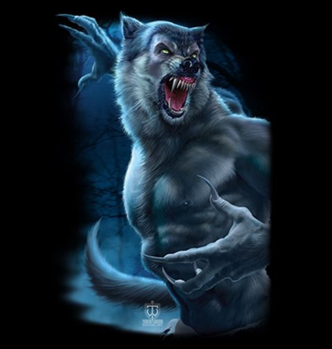 Obrázek produktu Pánské tričko Probuzení Vlkodlaka v Úplňku