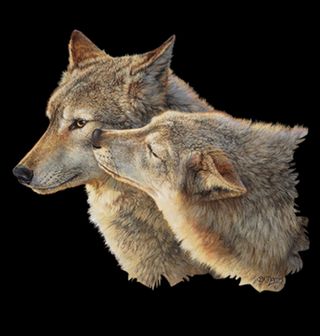 Obrázek 2 produktu Dámské tričko Polibek Vlků 