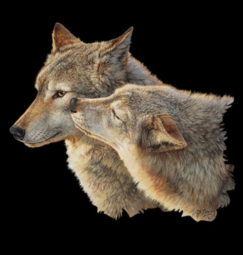 Obrázek produktu Pánské tričko Polibek Vlků 