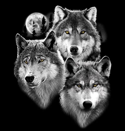 Obrázek produktu Pánské tričko Portrét tří vlků