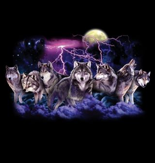 Obrázek 2 produktu Pánské tričko Noční lov smečky Vlků