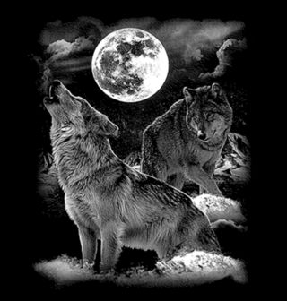Obrázek 2 produktu Dámské tričko Vlci a noční obloha 