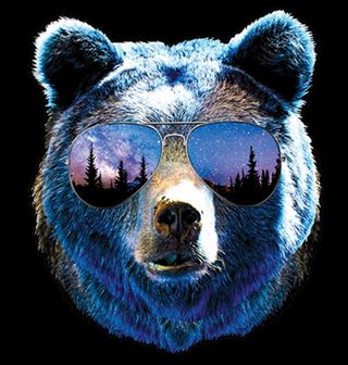 Obrázek 2 produktu Dámské tričko Medvěd s brýlemi 