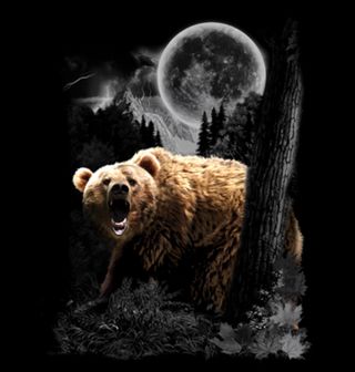 Obrázek 2 produktu Dámské tričko Divoký Medvěd při úplňku 