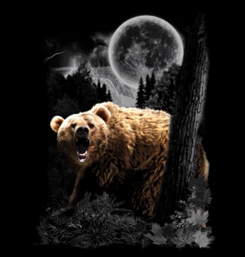 Obrázek produktu Pánské tričko Divoký Medvěd při úplňku 