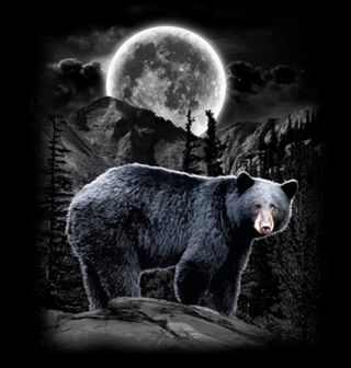 Obrázek 2 produktu Pánské tričko Medvěd černý v úplňku 