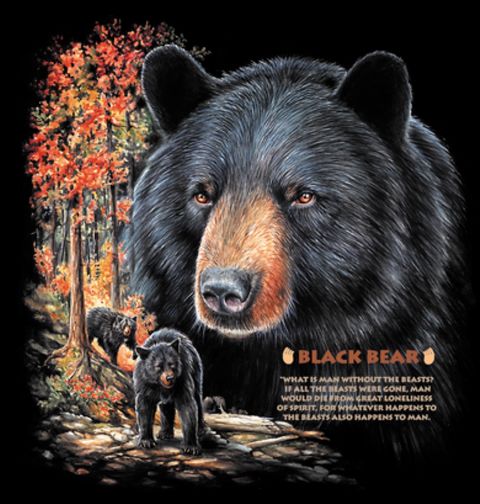 Obrázek produktu Pánské tričko Medvěd Baribal