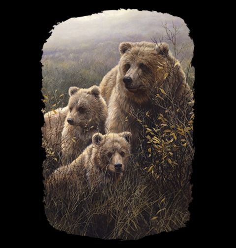 Obrázek produktu Pánské tričko Grizzly rodina v Denali 
