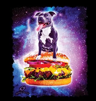Obrázek 2 produktu Pánské tričko Vesmírný Pitbull řídící burger 