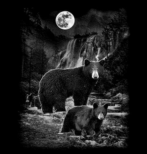 Obrázek produktu Dámské tričko Medvědi v noční krajině 