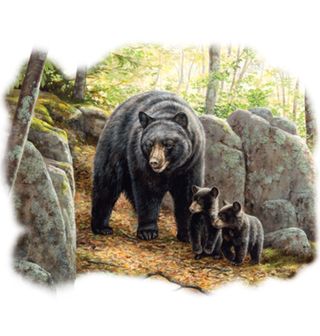 Obrázek 2 produktu Dámské tričko Černí medvědi v jarní krajině 