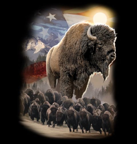 Obrázek produktu Pánské tričko Americký bizon