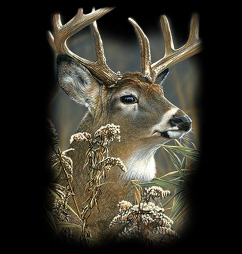 Obrázek produktu Pánské tričko Portrét Jelena v přírodě 