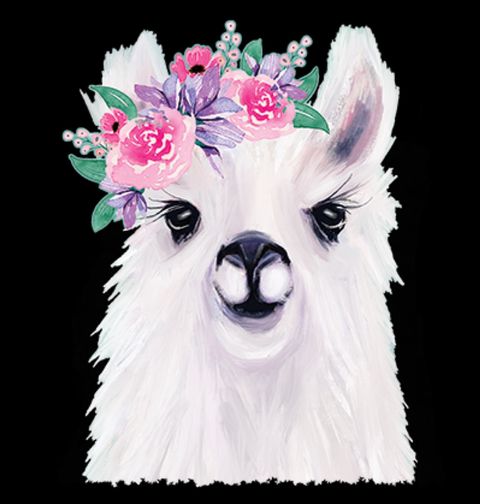 Obrázek produktu Dámské tričko Kamarád Lama s květinami
