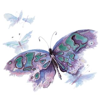 Obrázek 2 produktu Pánské tričko Akvarel Motýl